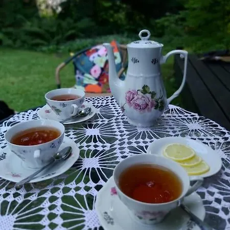 Staruszka Vakantiehuis Sidzina
