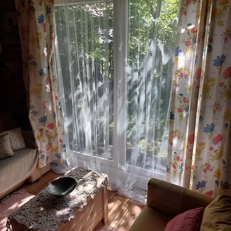 Staruszka Prázdninový dům Sidzina