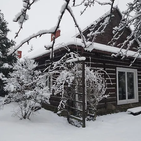 Staruszka Tatil Evi *