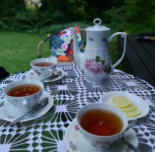 Staruszka Dom wakacyjny Sidzina